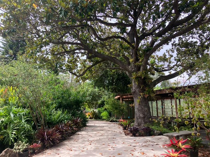 Kula Botanical Garden