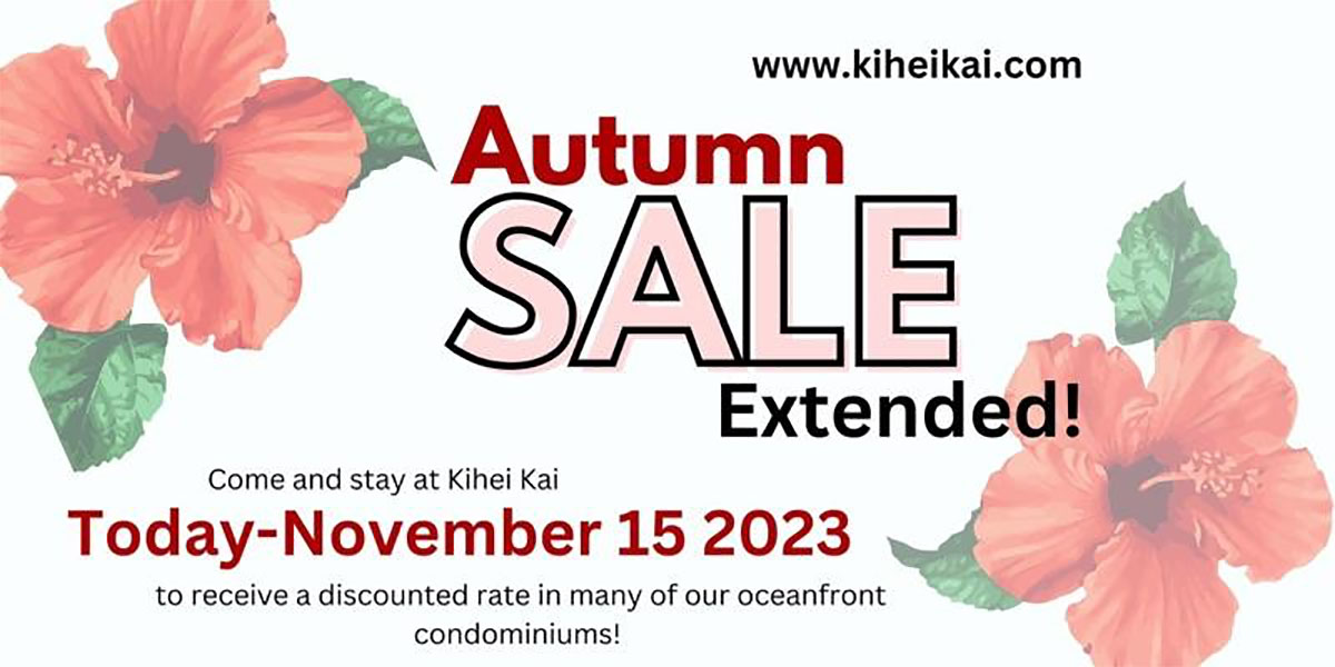 Extended Autumn Sale