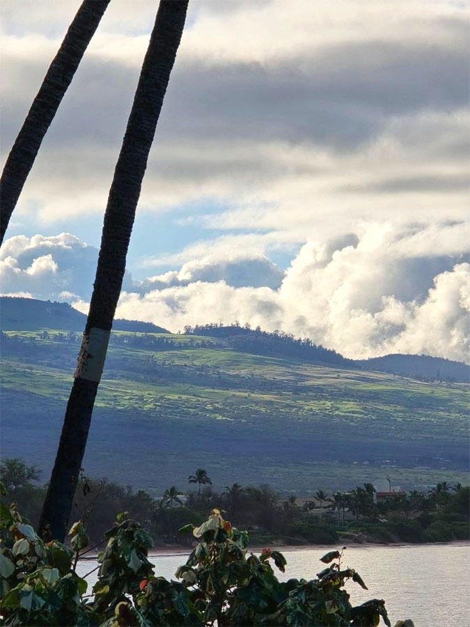 Another beautiful view of upcountry from Kihei Kai's front lawn