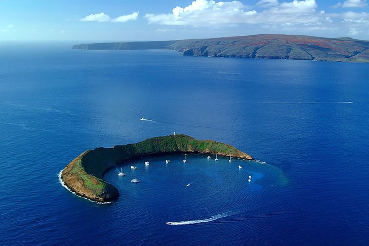 Book a snorkel trip while you're here and explore the volcanic remains of Molokini Crater.