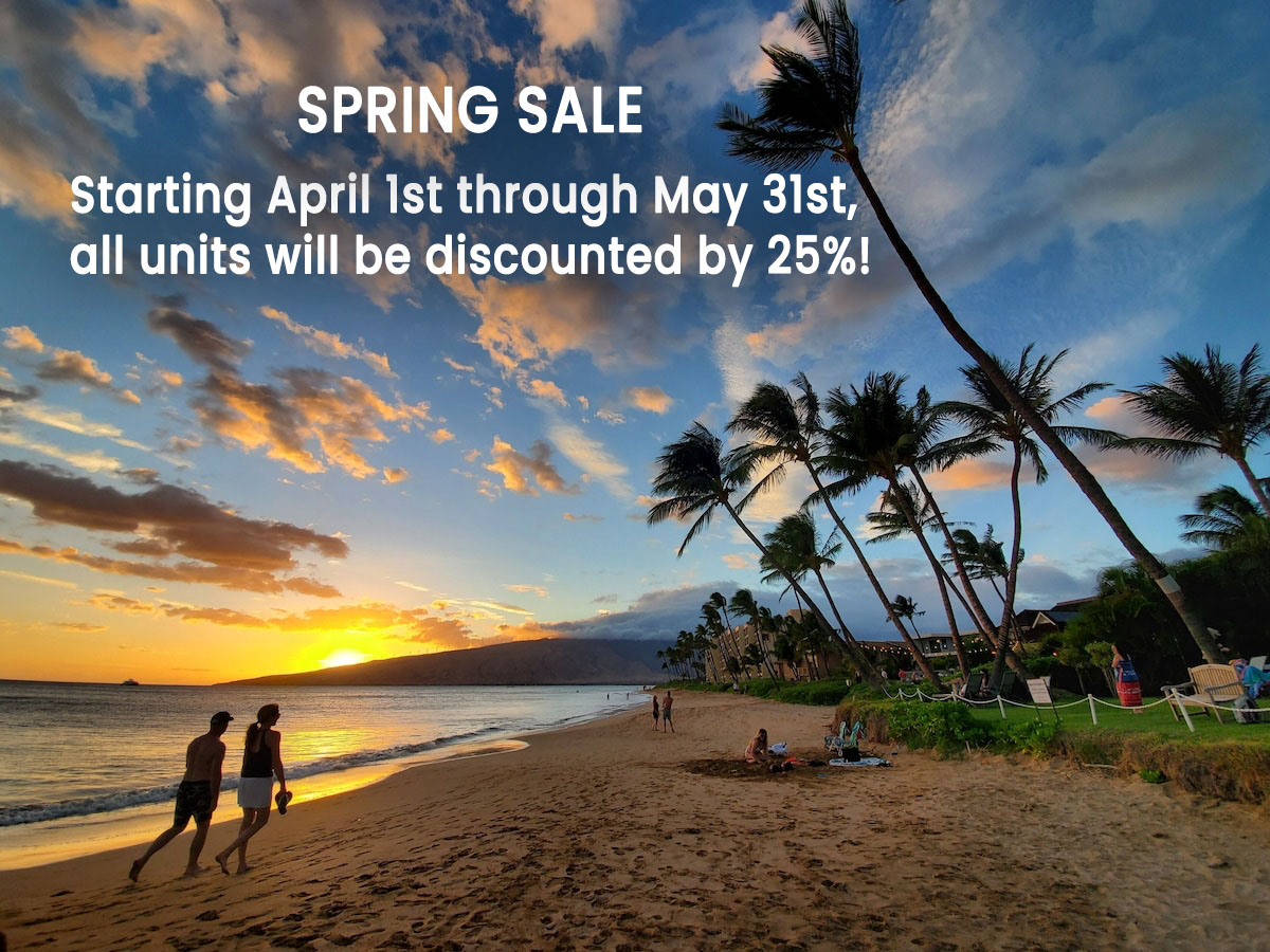 SPRING SALE! April 2024: There's still time to book!
