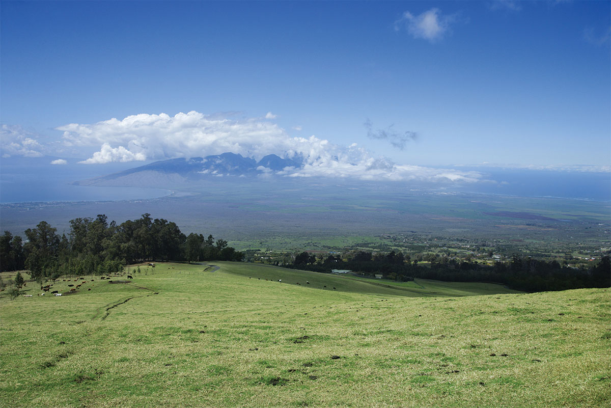 Upcountry Maui is about a 30 minute drive from Kihei Kai and provides a cooler climate and remarkable views of the island.