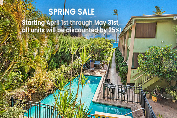 SPRING SALE! May 2024: Last chance to book!