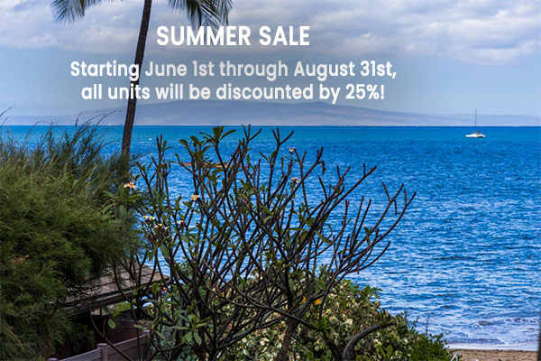 SUMMER SALE! 25% OFF: June, 1 – August 31, 2024