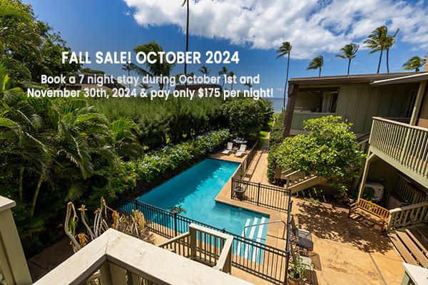 Fall Sale! October 2024