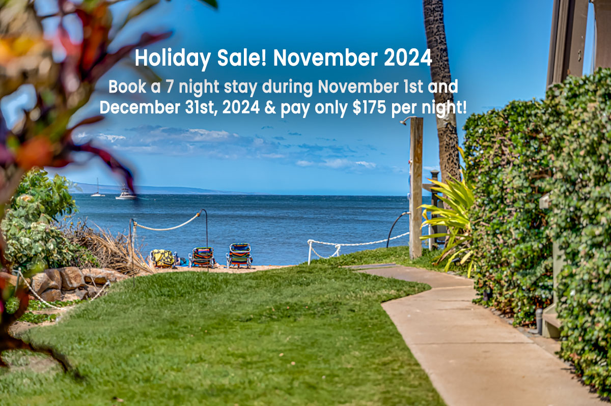 Holiday Sale! November 2024