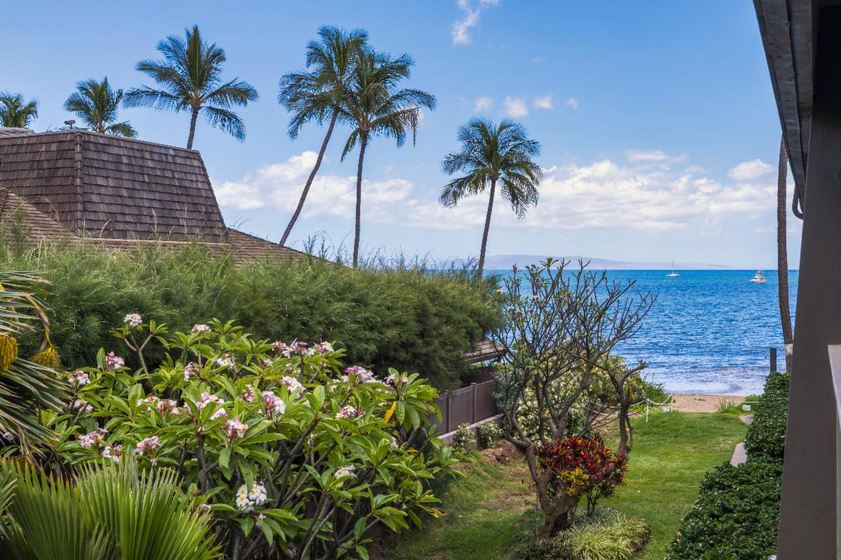 Spring Break Sale! March 2025