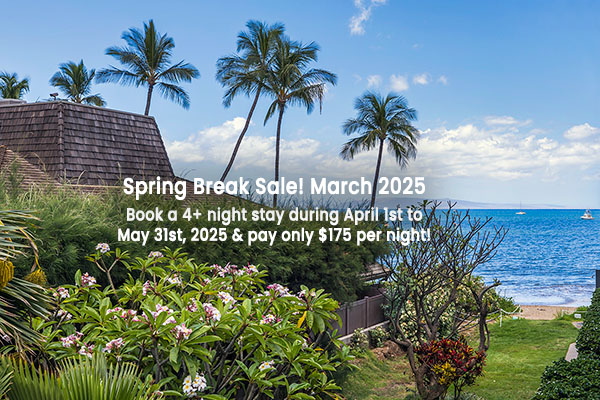 Spring Break Sale! March 2025