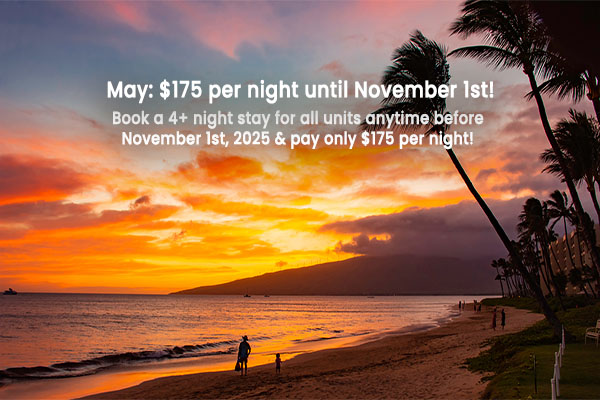 May 2025: $175 rates until November 1st!