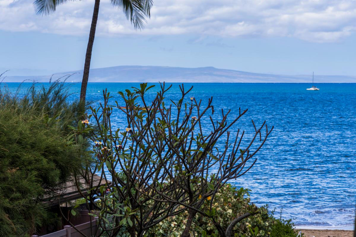 June 2025: $175 rates until November 1st!