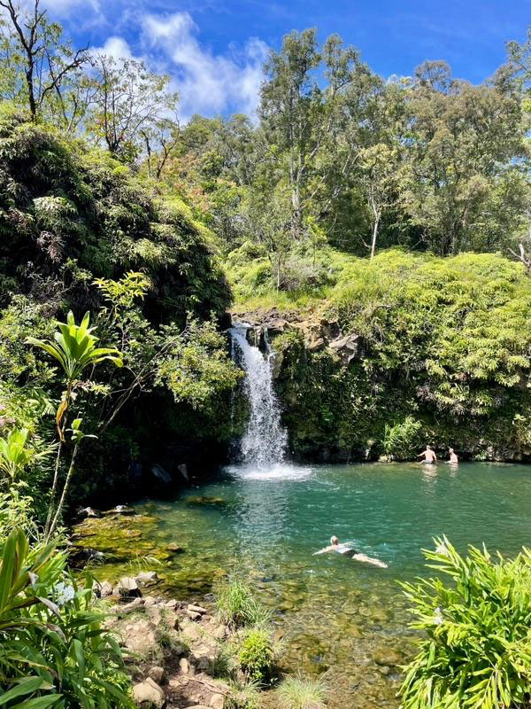 What to do in Maui!