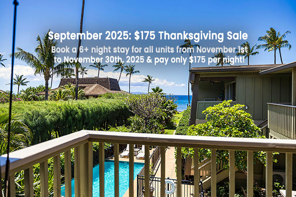 September 2025: $175 Thanksgiving Sale