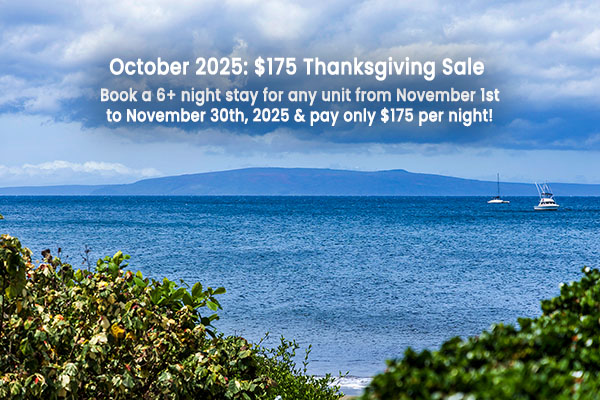 October 2025: $175 Thanksgiving Sale