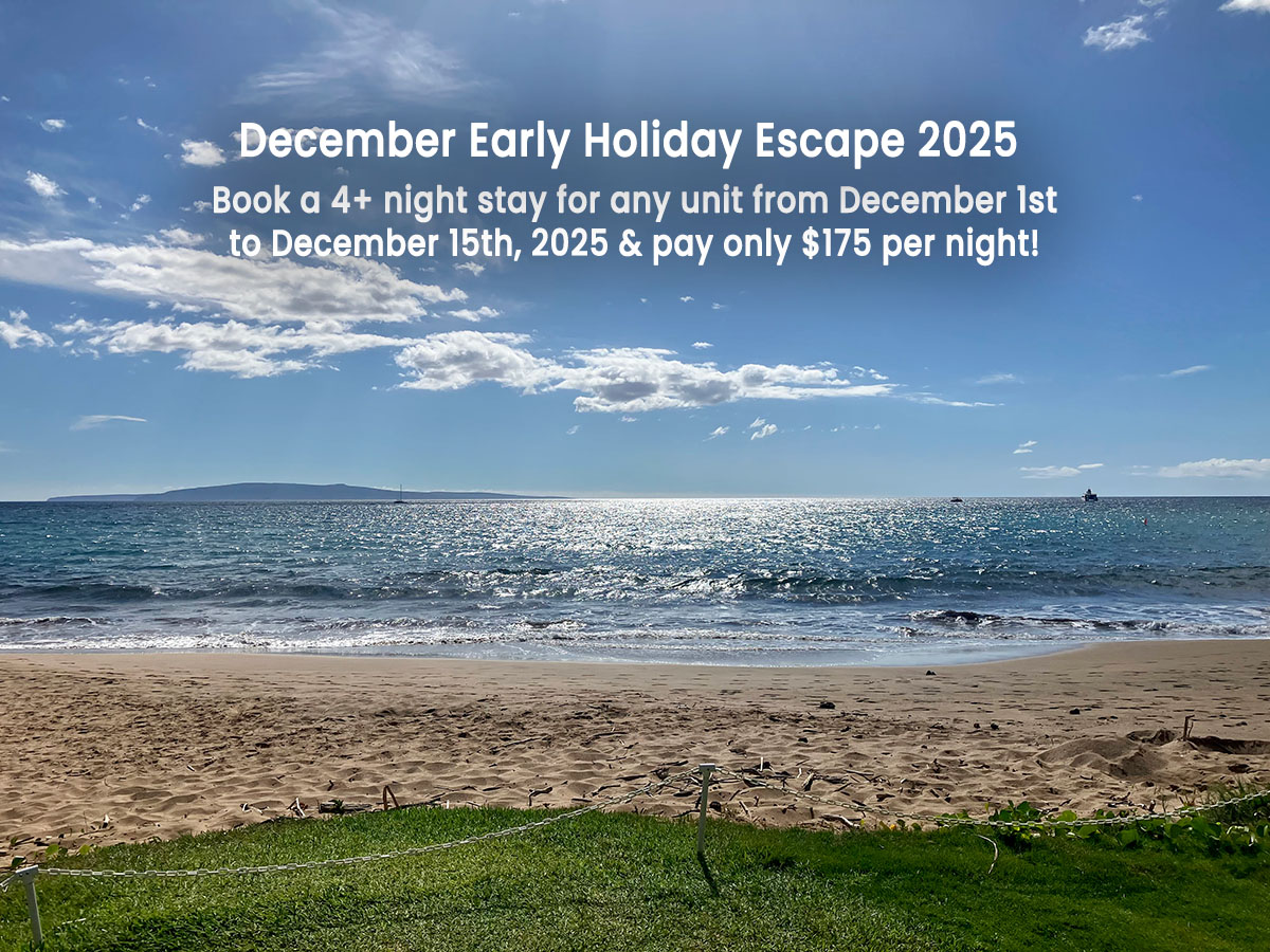 December Early Holiday Escape 2025