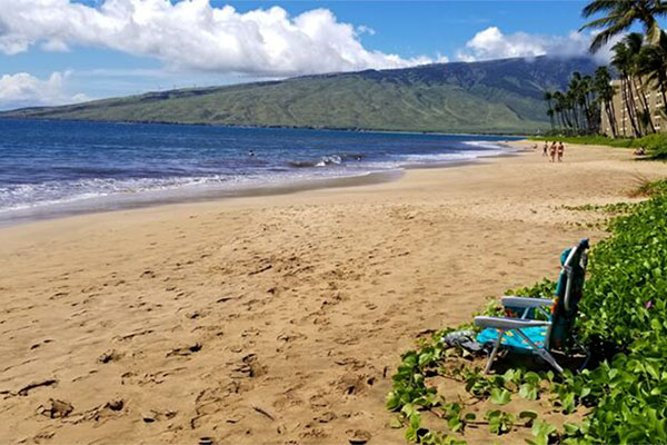 Happy New Year from Kihei Kai!